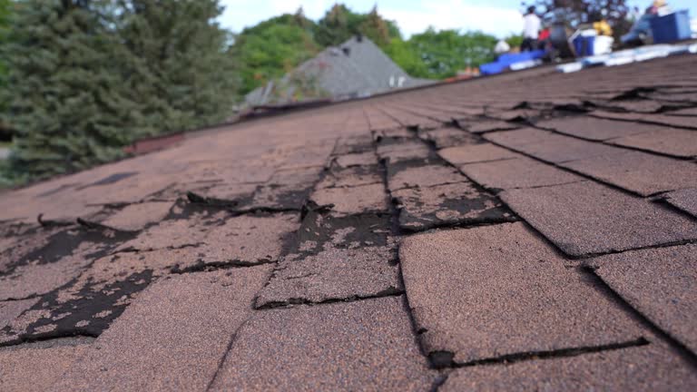 Best Cold Roofs  in Keego Harbor, MI