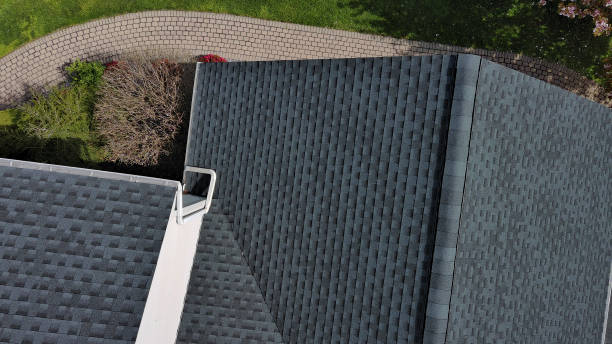 Best Roof Moss and Algae Removal  in Keego Harbor, MI