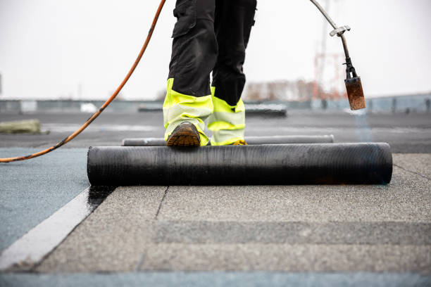 Best Roof Maintenance and Cleaning  in Keego Harbor, MI